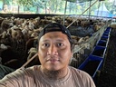 Antonius Andi Sugiyanto